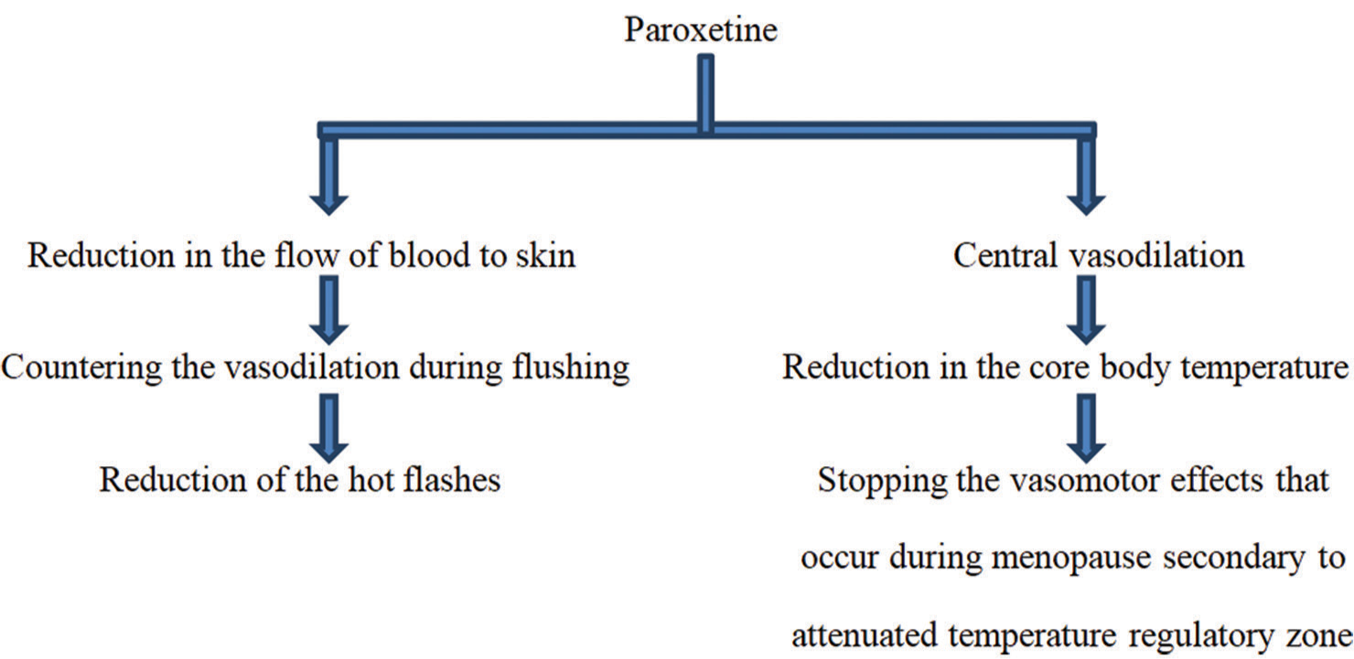 Mechanism of paroxetine’s action regarding the management of menopausal hot flashes.