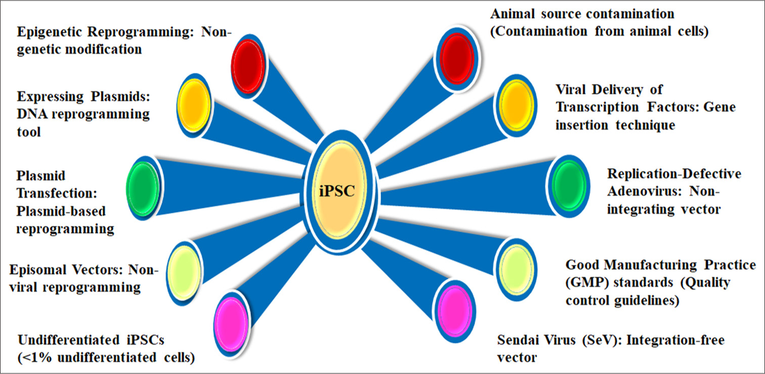 Influential factors for induced pluripotent stem cell. iPSC: Induced pluripotent stem cells.